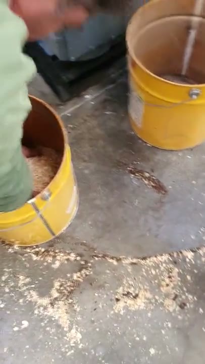 Βίντεο πελλετομηχανής flat die σε λειτουργία